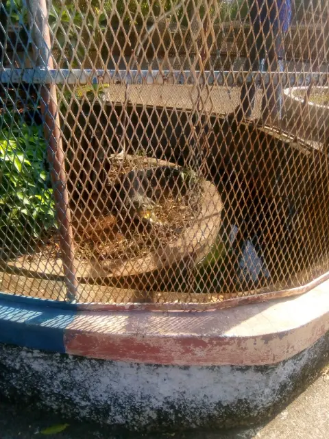 Wynter's Park & Farm - Agricultural Beauty in Historic Spanish Town