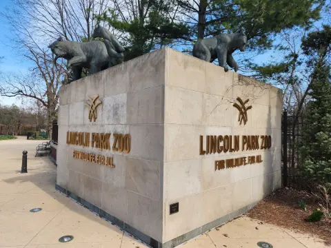 Lincoln Park Zoo - Chicago'nun Kalbi Doğaya Açılan Kapı