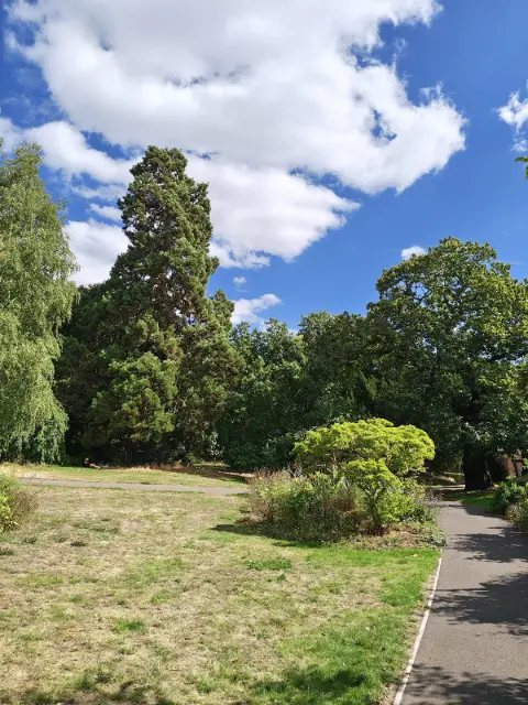 Rougemont Gardens: Exeter's Enchanting Green Sanctuary