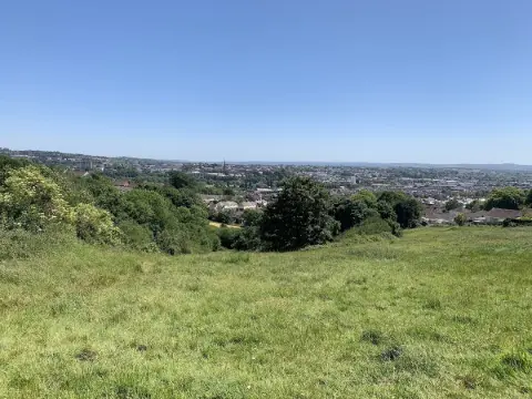 Barley Valley Nature Reserve - Exeter's Natural Sanctuary