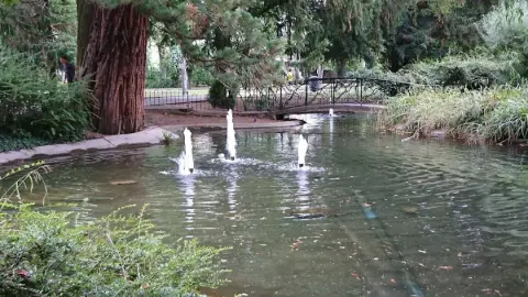 Parc Salvator - Mulhouse'un Yeşil Kalbi
