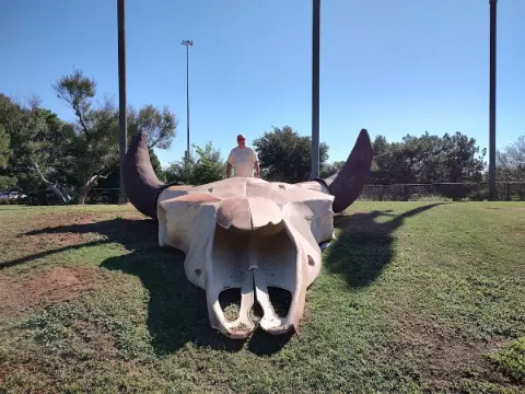 Dev Buffalo Kafatası - Abilene'nin İkonik Anıtı