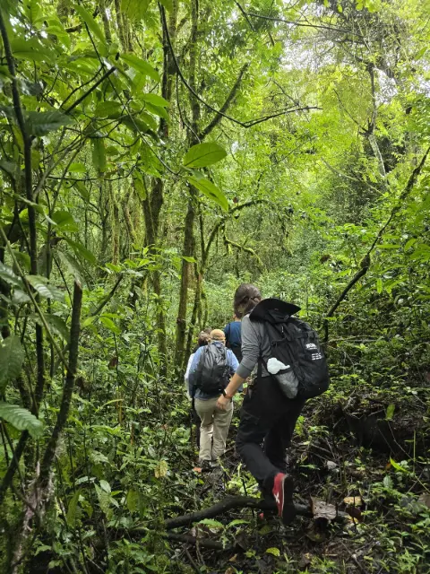 Ecuatrek Turizm - Ekvator Ginesi'nin Doğa Macerası