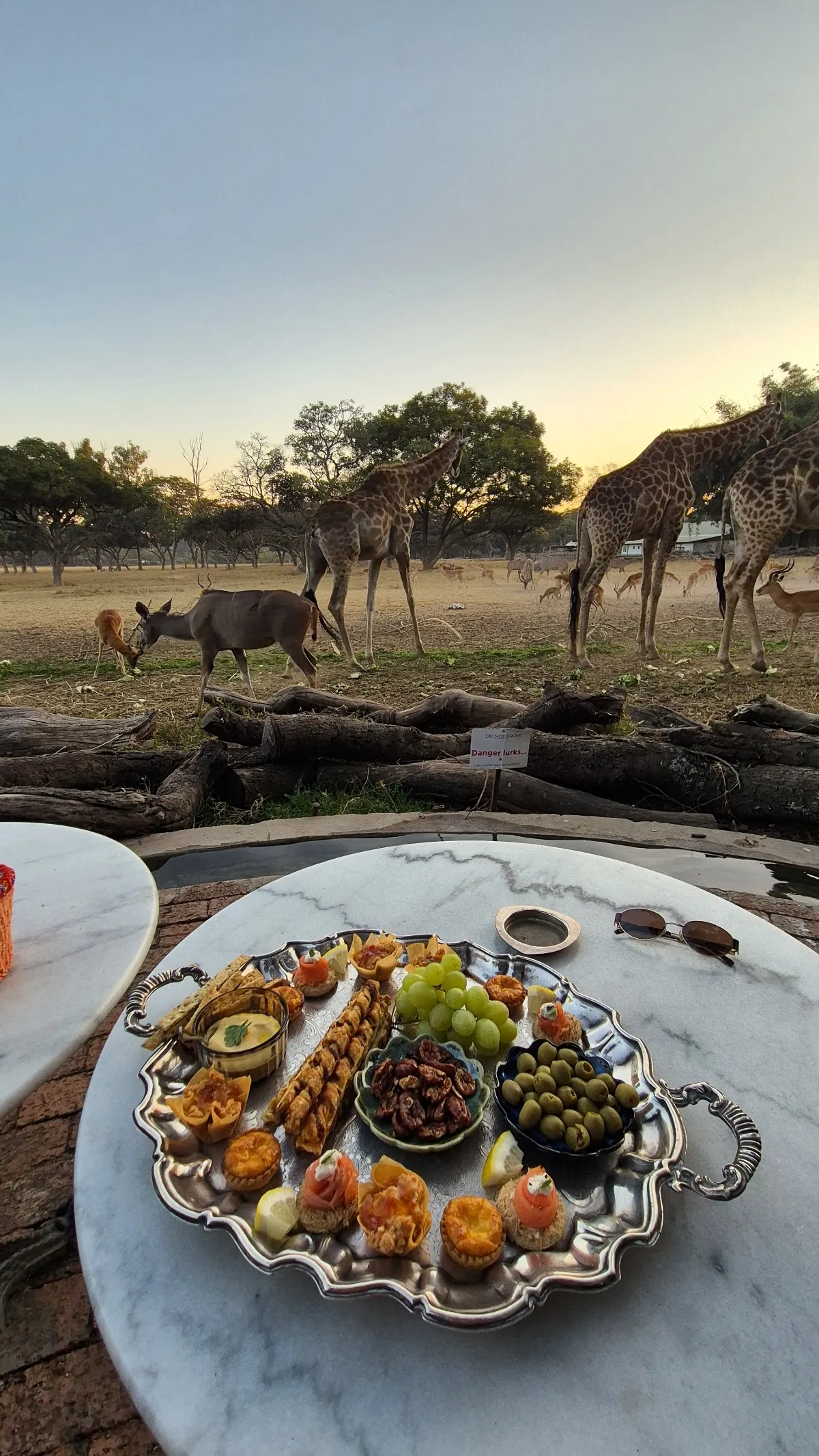 Wild Is Life & ZEN - Harare'nin Doğal Yaşam Cenneti